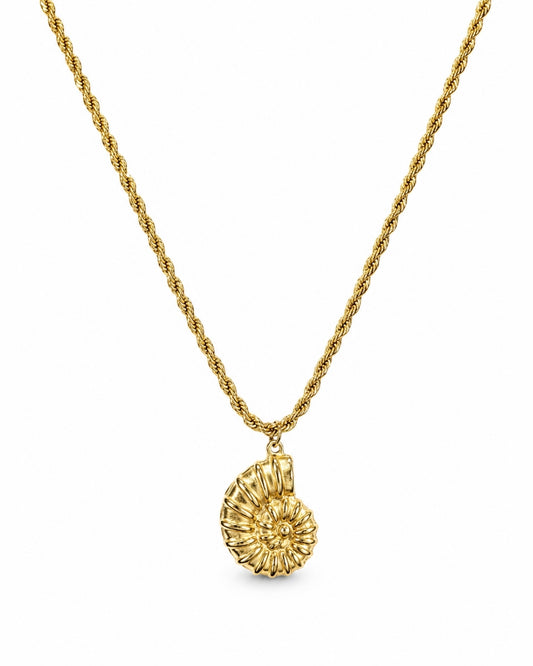 A gold necklace with a textured, spiral shell-shaped pendant, displayed against a solid white background.